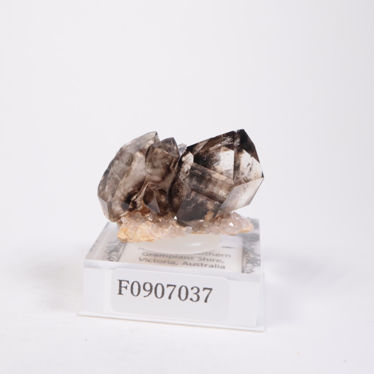 �������ȥ�ꥢ�� ����徽