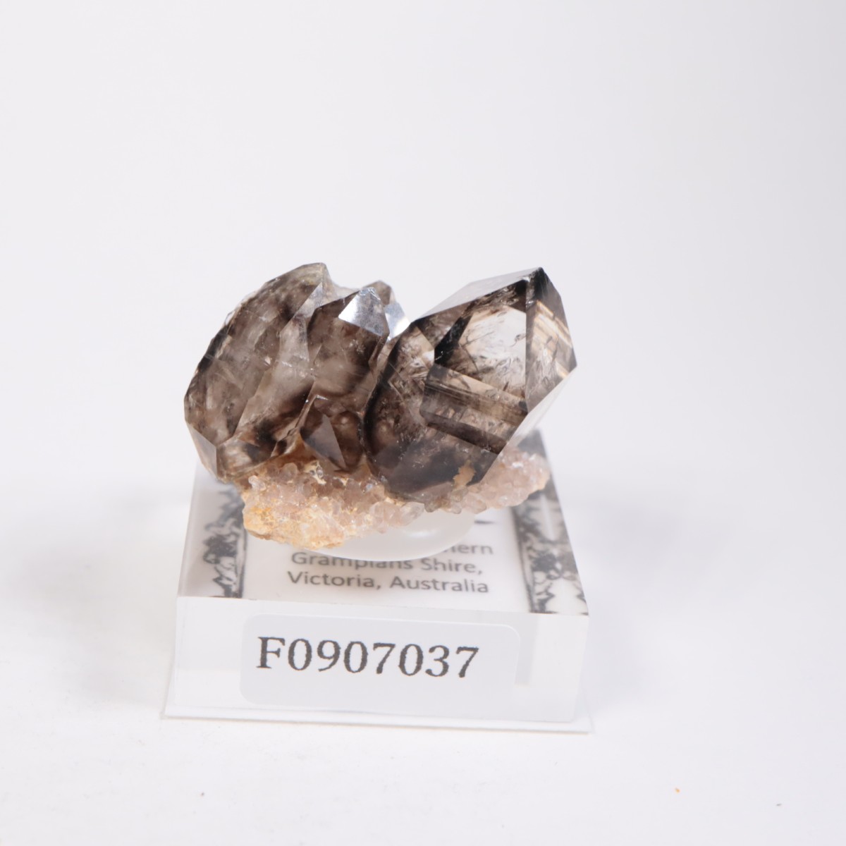 �������ȥ�ꥢ�� ����徽