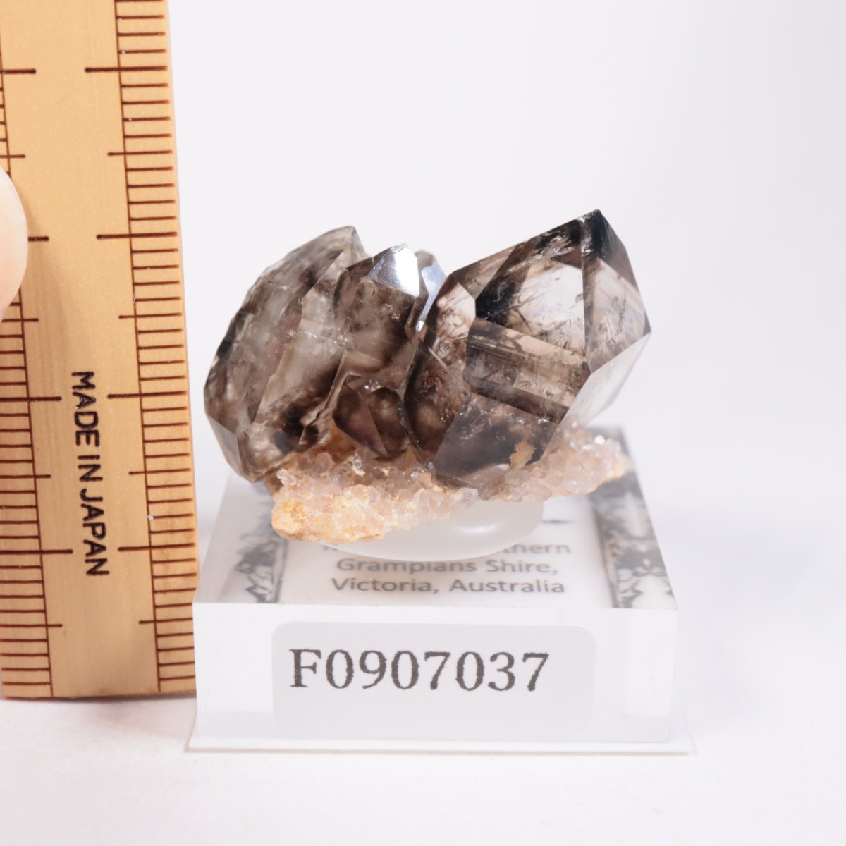 �������ȥ�ꥢ�� ����徽