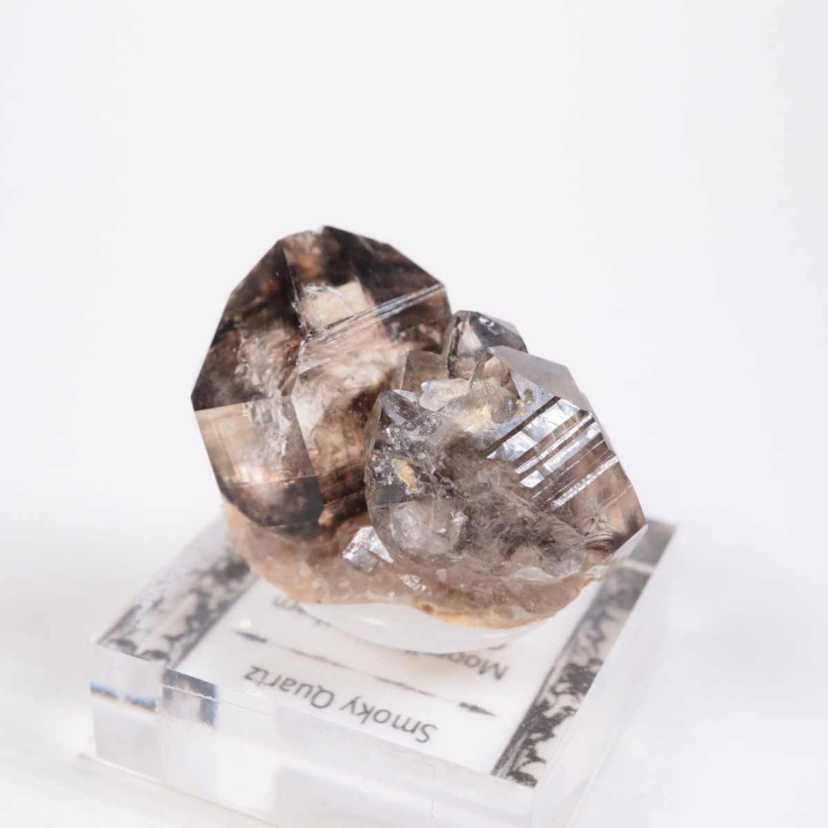 �������ȥ�ꥢ�� ����徽