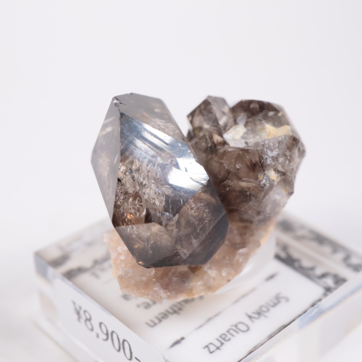 �������ȥ�ꥢ�� ����徽