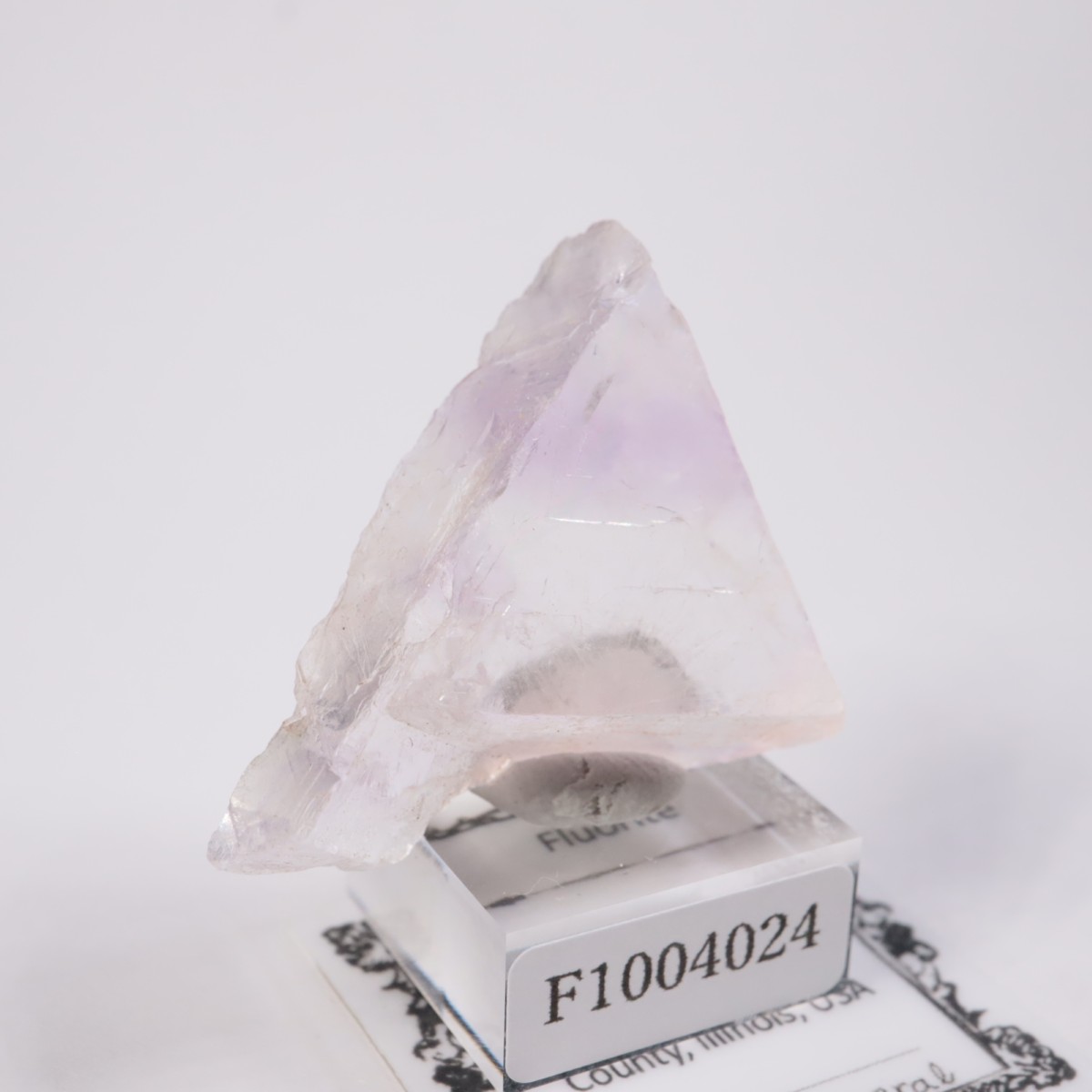 ����Υ��� �ե����饤�ȡʥ��åס�