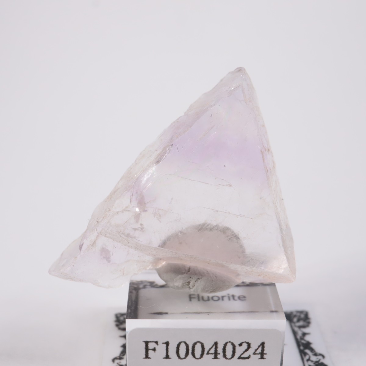 ����Υ��� �ե����饤�ȡʥ��åס�