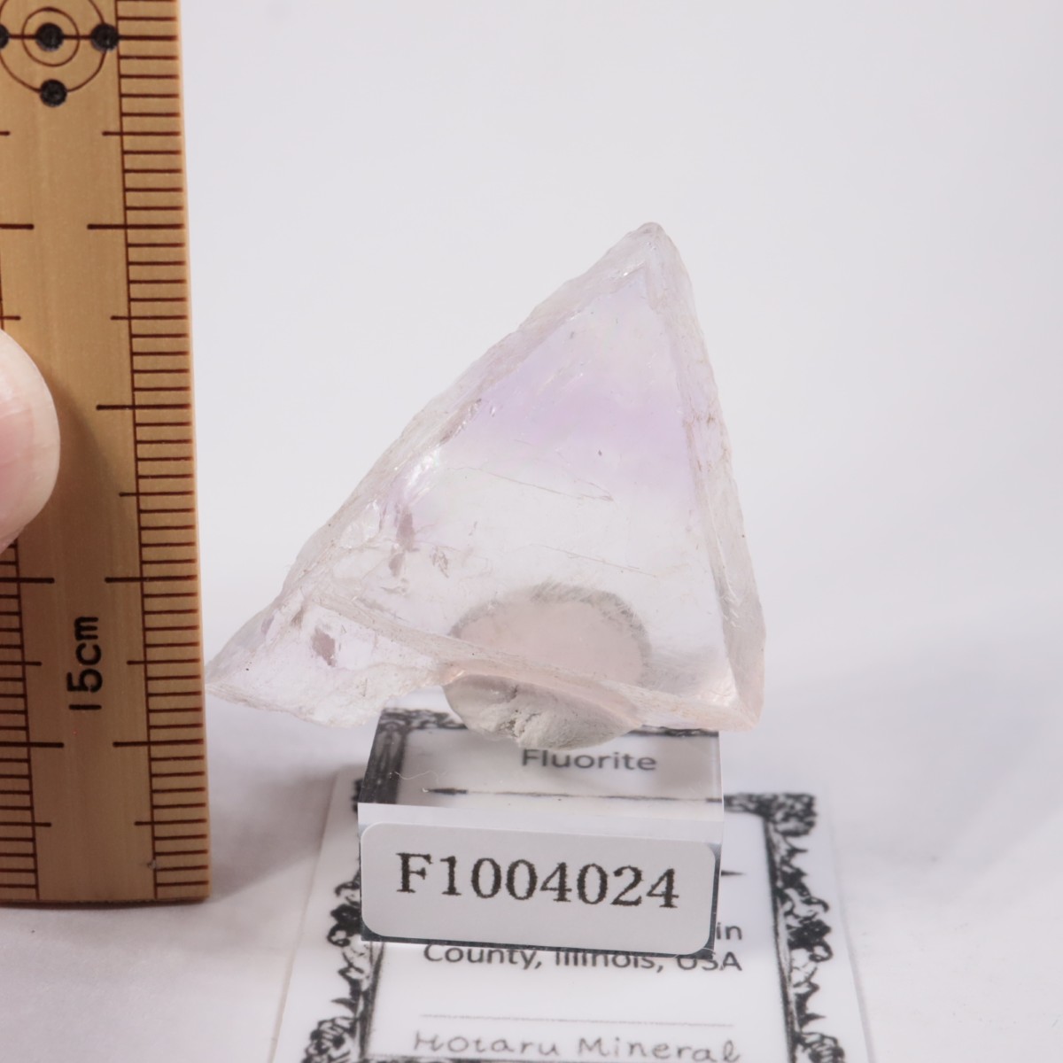 ����Υ��� �ե����饤�ȡʥ��åס�