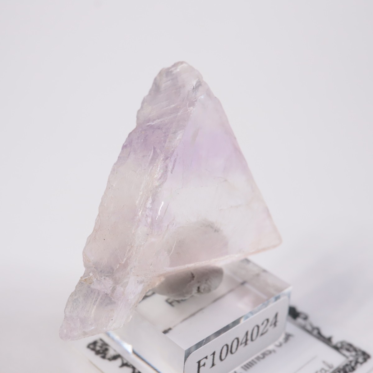 ����Υ��� �ե����饤�ȡʥ��åס�