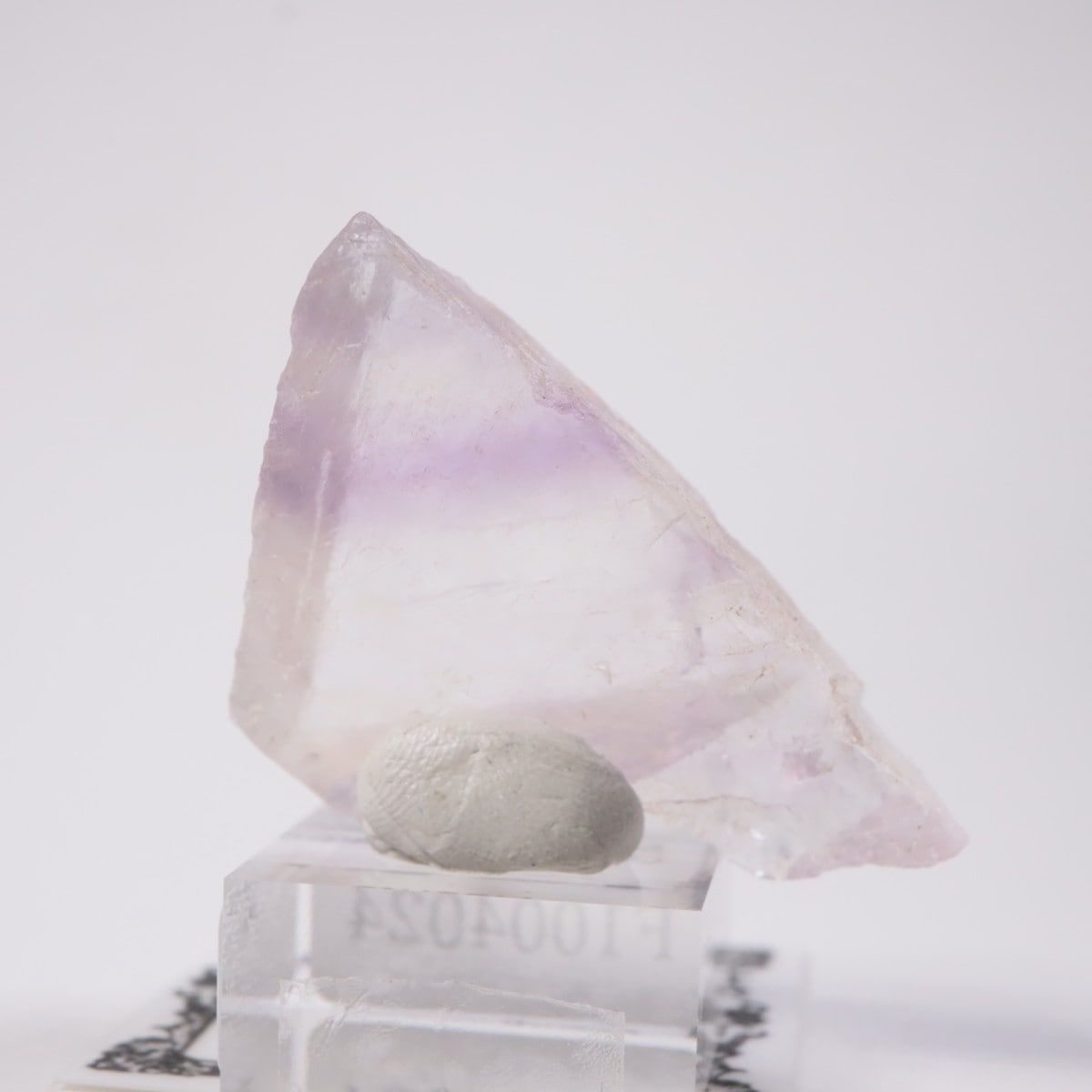 ����Υ��� �ե����饤�ȡʥ��åס�