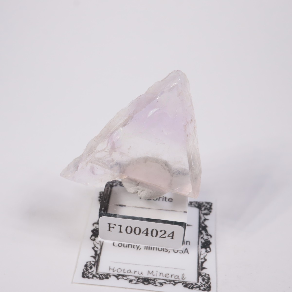 ����Υ��� �ե����饤�ȡʥ��åס�