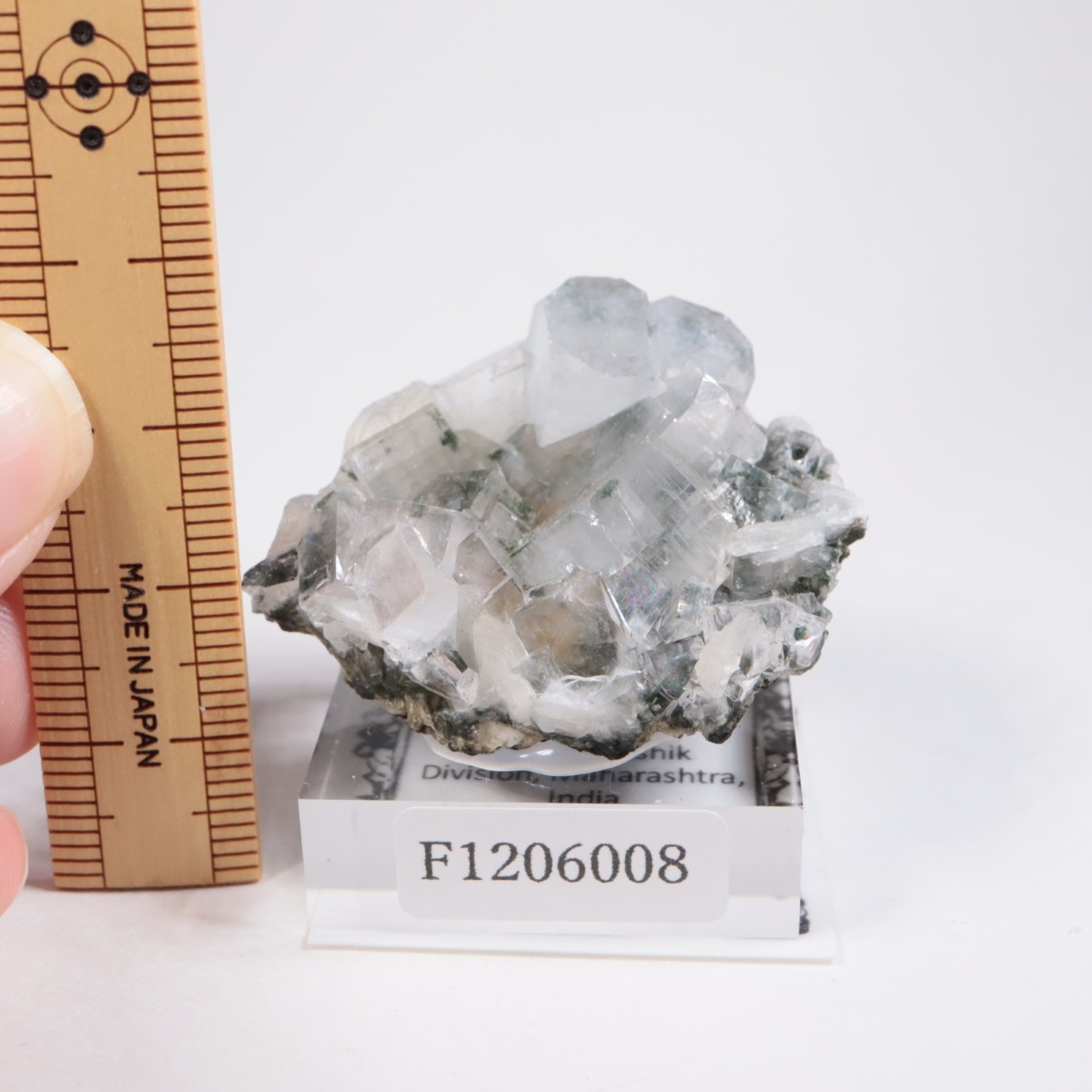 ����ɻ� ���ݥե��饤��