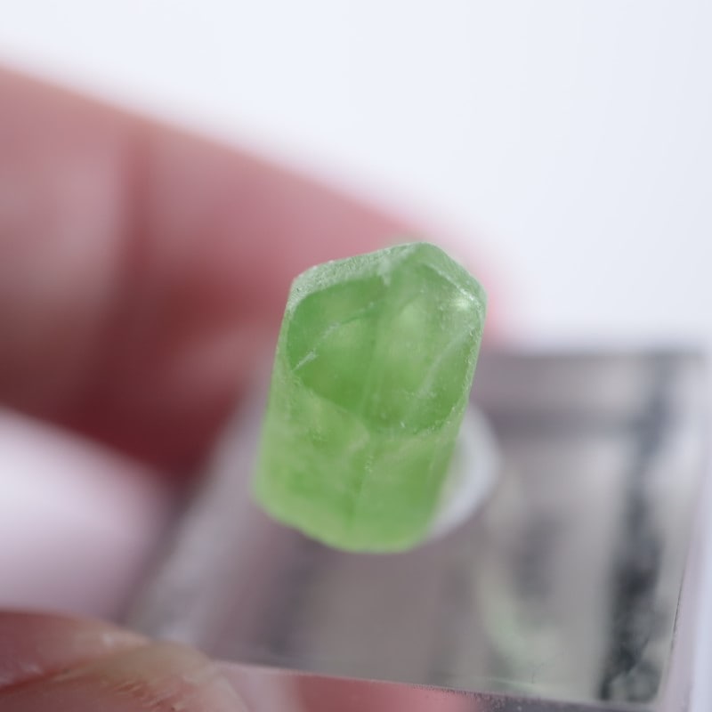 �ѥ������󻺡��ڥ�ɥå�