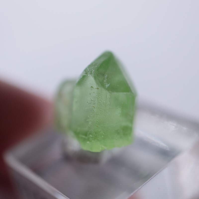 �ѥ������󻺡��ڥ�ɥå�