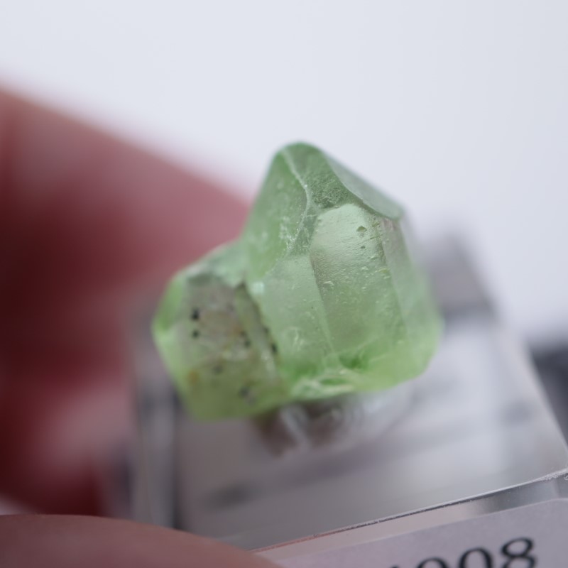 �ѥ������󻺡��ڥ�ɥå�