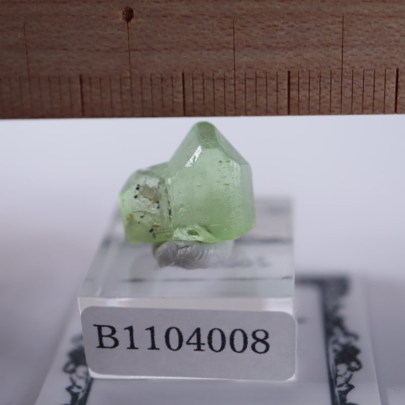 �ѥ������󻺡��ڥ�ɥå�