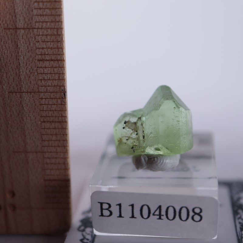 �ѥ������󻺡��ڥ�ɥå�