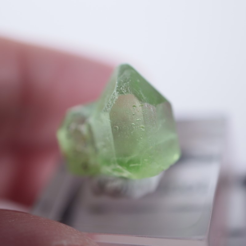 �ѥ������󻺡��ڥ�ɥå�