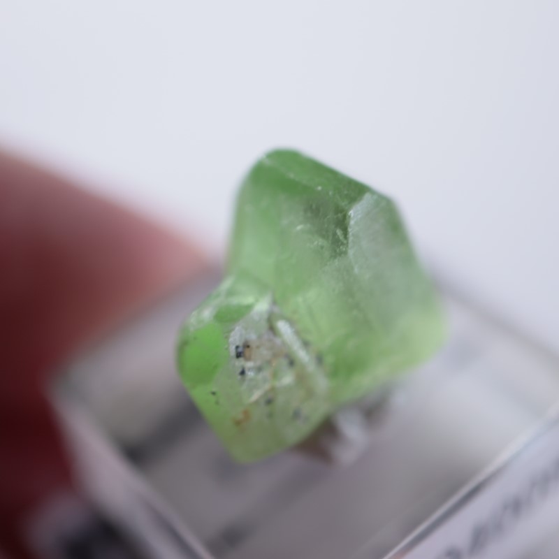 �ѥ������󻺡��ڥ�ɥå�