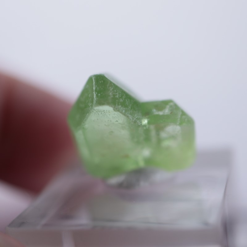 �ѥ������󻺡��ڥ�ɥå�