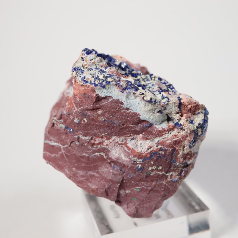 ���꥾�ʽ��������饤��