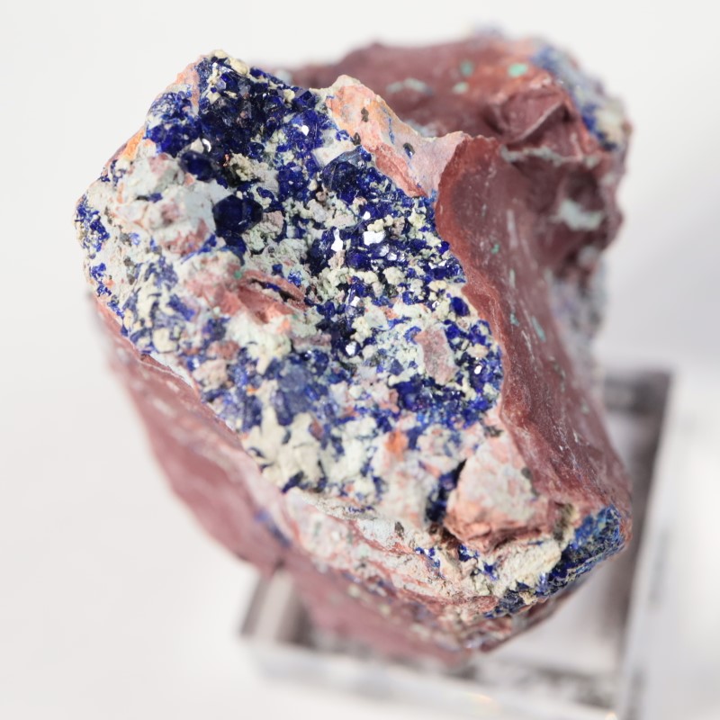 ���꥾�ʽ��������饤��