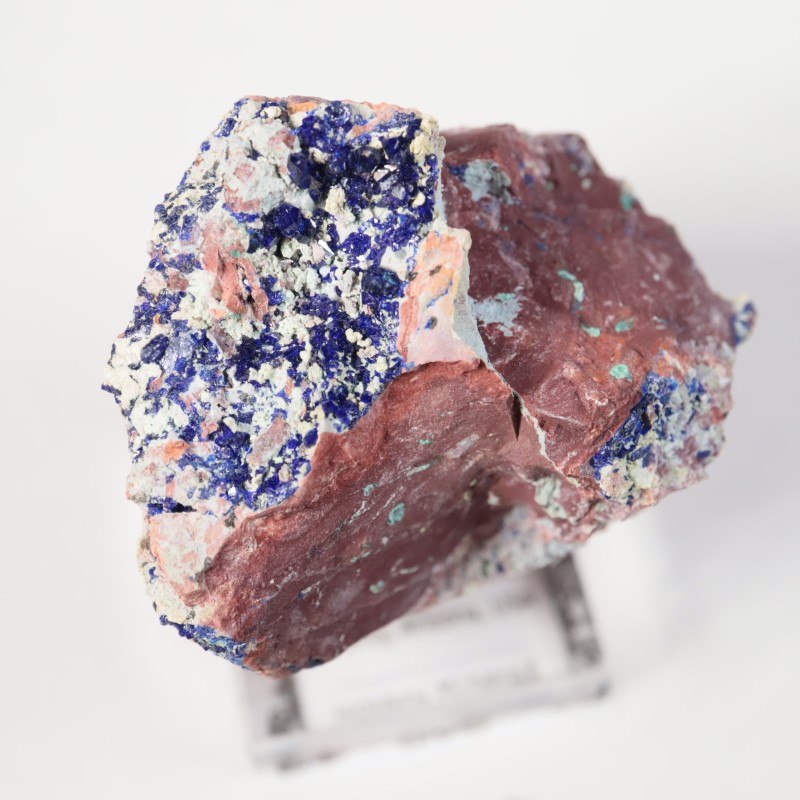 ���꥾�ʽ��������饤��