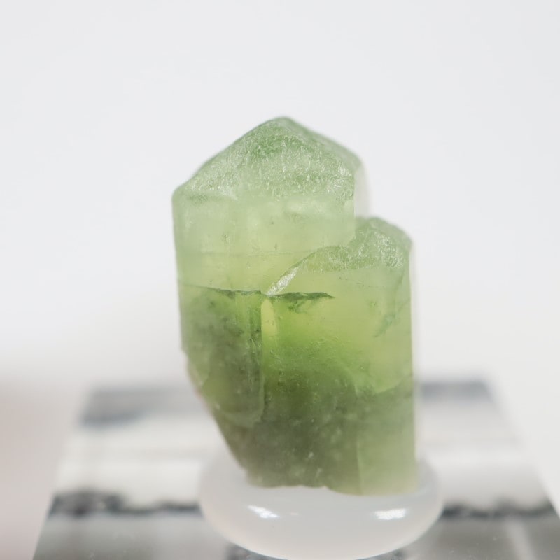 �ѥ������� �ڥ�ɥå�