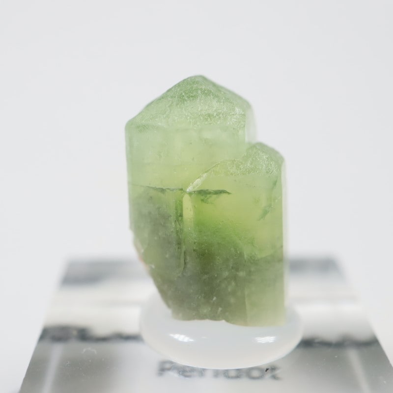 �ѥ������� �ڥ�ɥå�