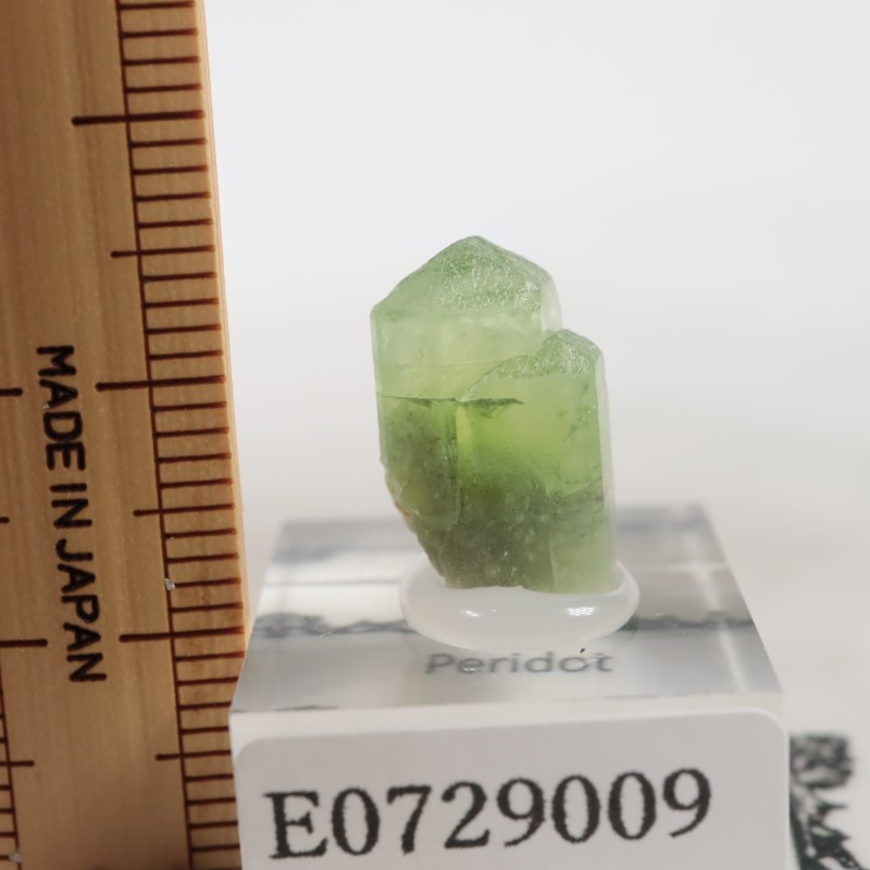 �ѥ������� �ڥ�ɥå�