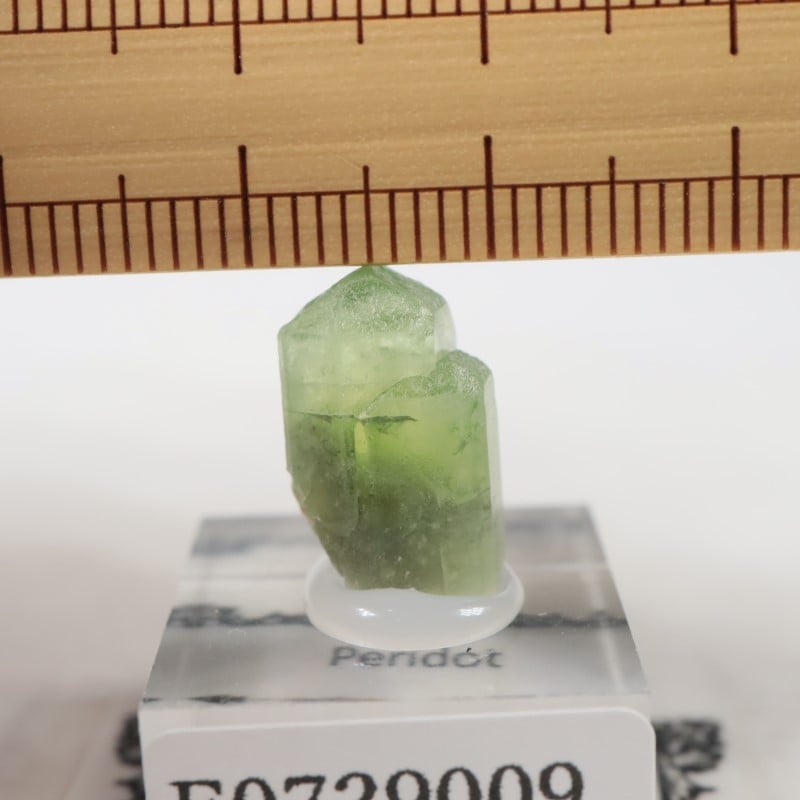 �ѥ������� �ڥ�ɥå�