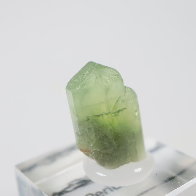 �ѥ������� �ڥ�ɥå�