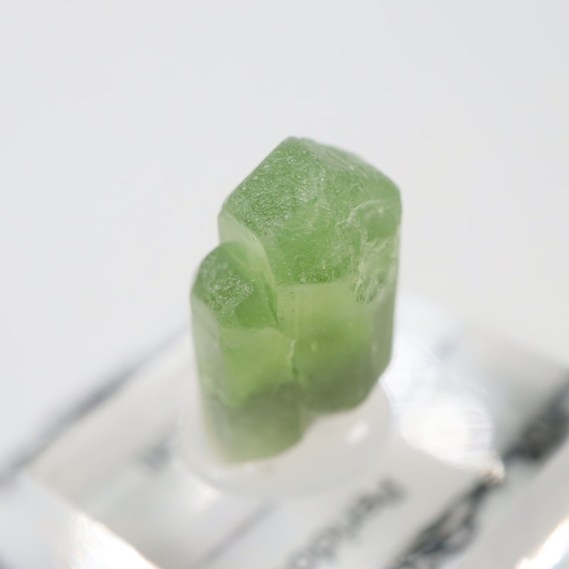 �ѥ������� �ڥ�ɥå�