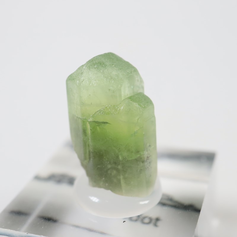 �ѥ������� �ڥ�ɥå�