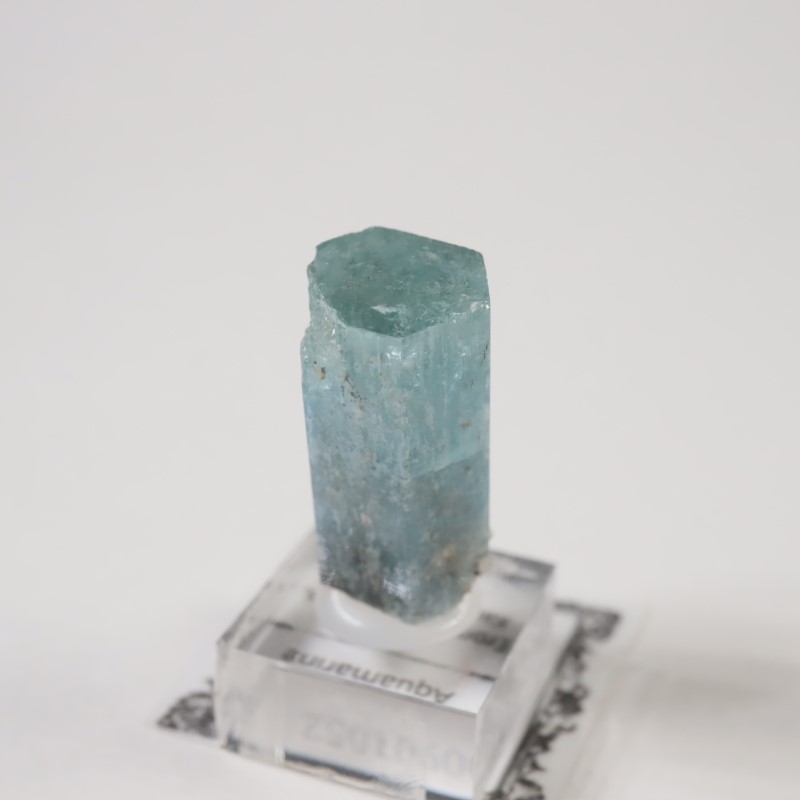 �����󥴹ۻ��� �������ޥ��