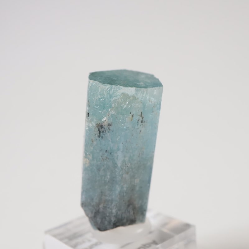 �����󥴹ۻ��� �������ޥ��