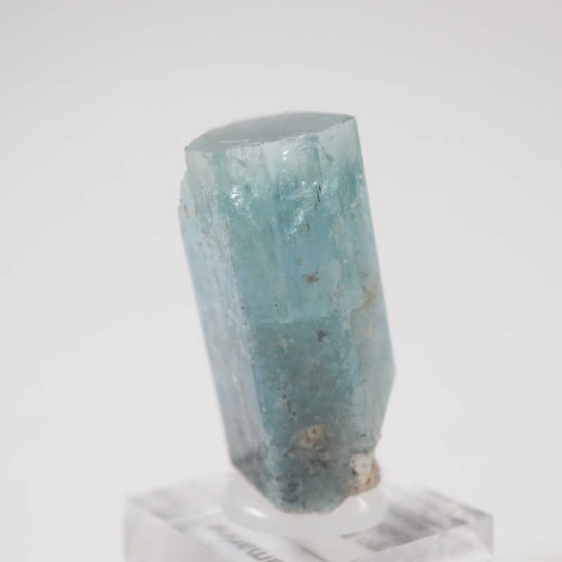 �����󥴹ۻ��� �������ޥ��