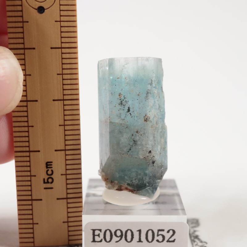 �����󥴹ۻ��� �������ޥ��