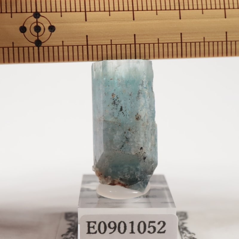 �����󥴹ۻ��� �������ޥ��