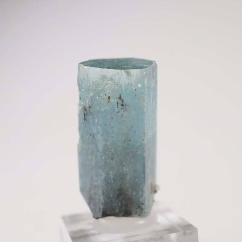 �����󥴹ۻ��� �������ޥ��