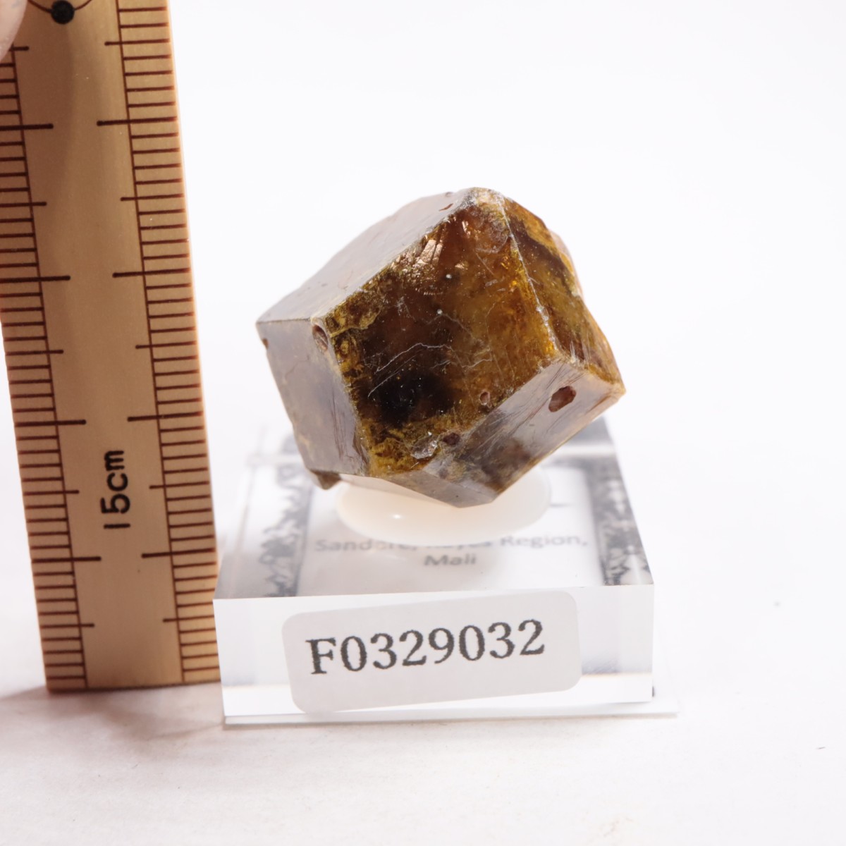 �ޥ껺 �����ͥå�