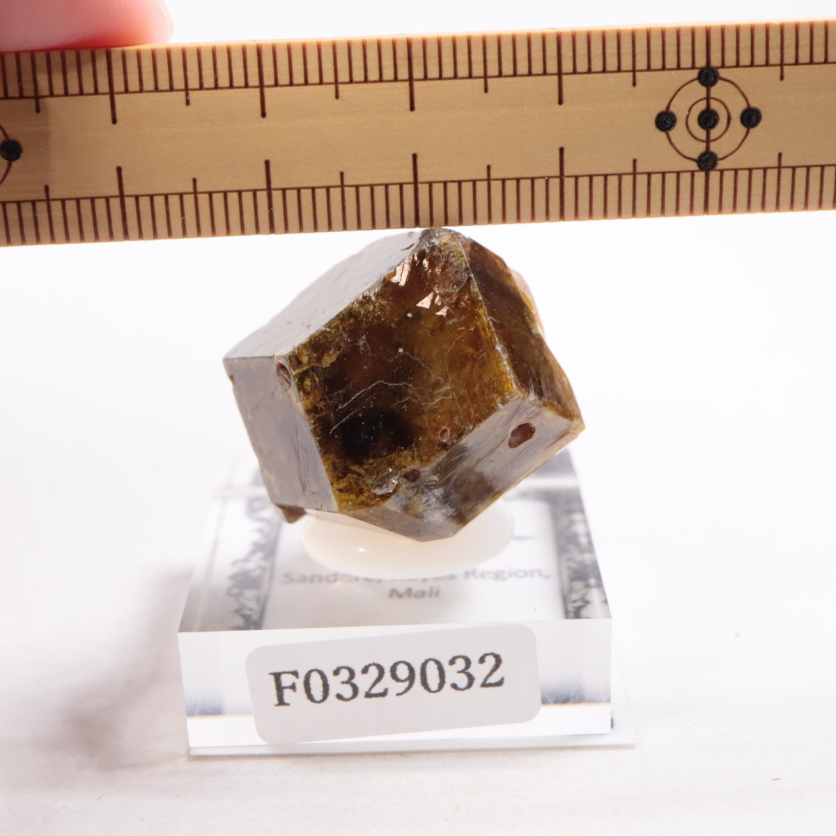 �ޥ껺 �����ͥå�