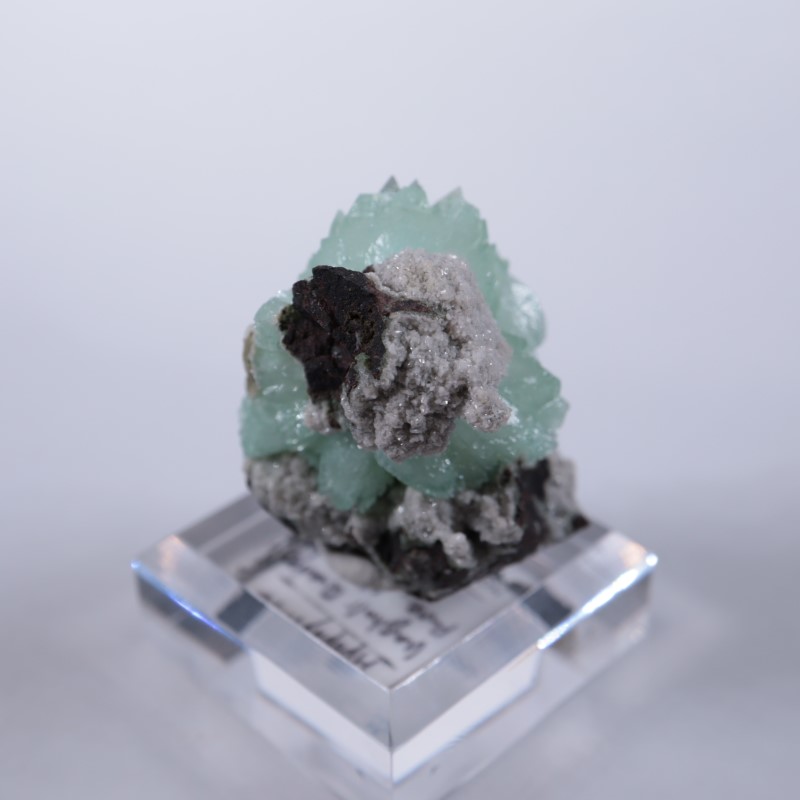 Wagholi�������ݥե��饤��