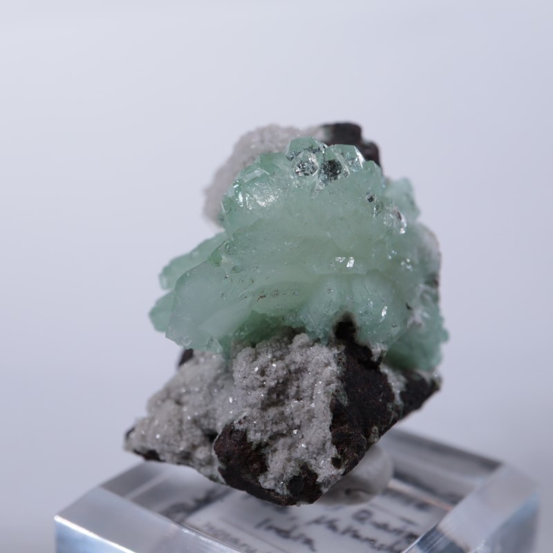 Wagholi�������ݥե��饤��