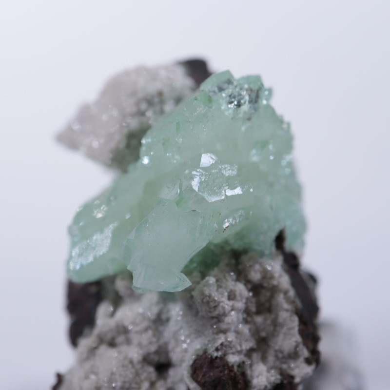 Wagholi�������ݥե��饤��