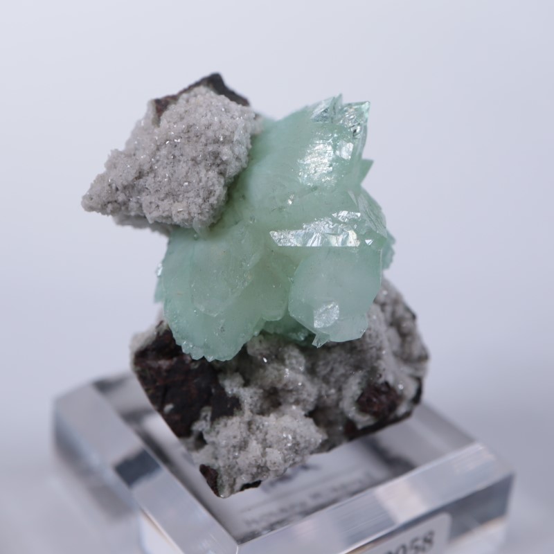 Wagholi�������ݥե��饤��