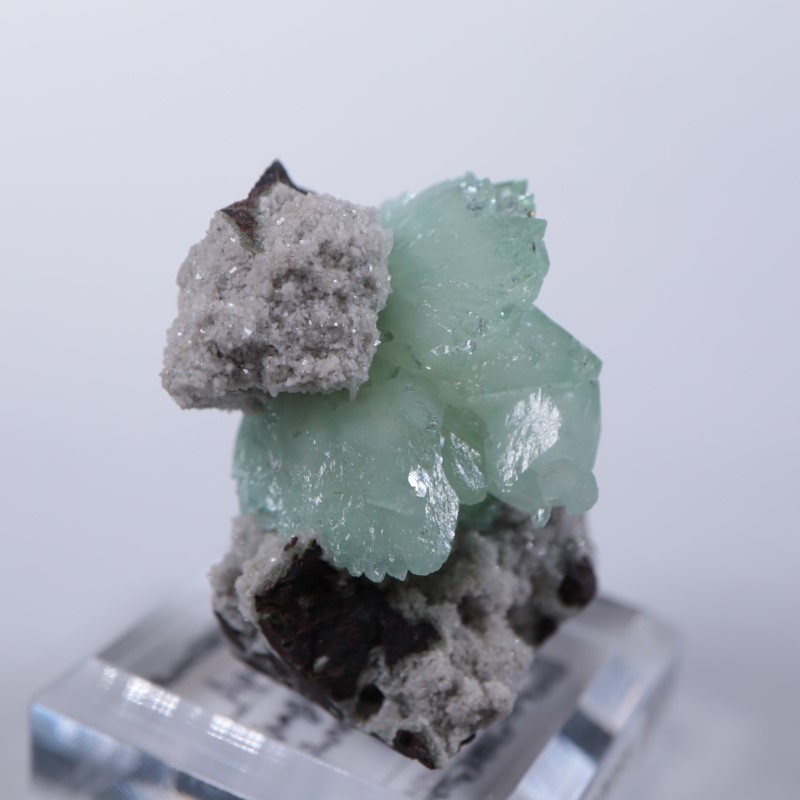 Wagholi�������ݥե��饤��