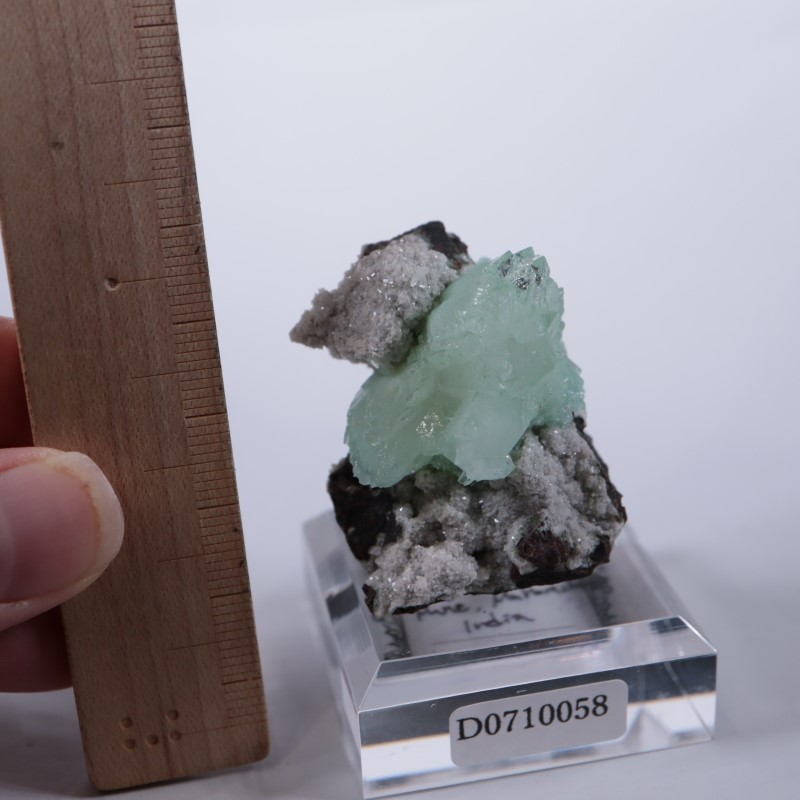 Wagholi�������ݥե��饤��