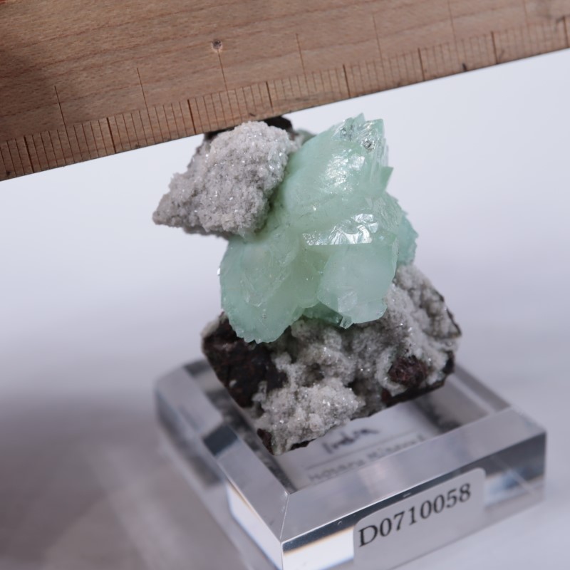 Wagholi�������ݥե��饤��