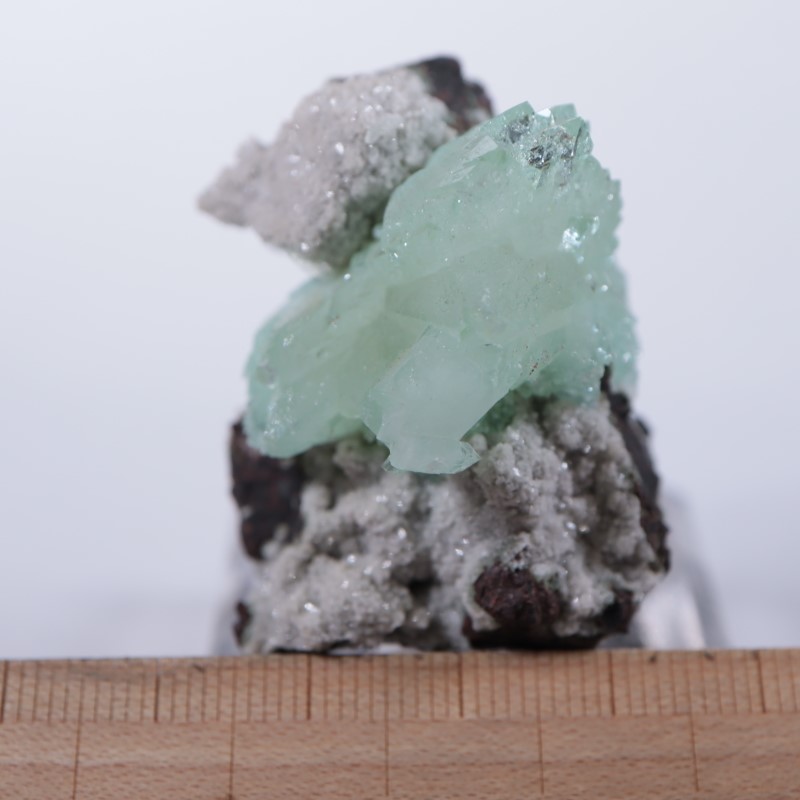 Wagholi�������ݥե��饤��