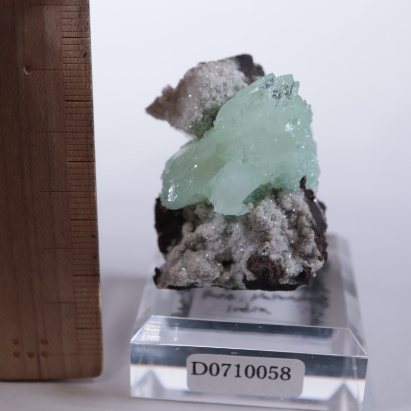 Wagholi�������ݥե��饤��