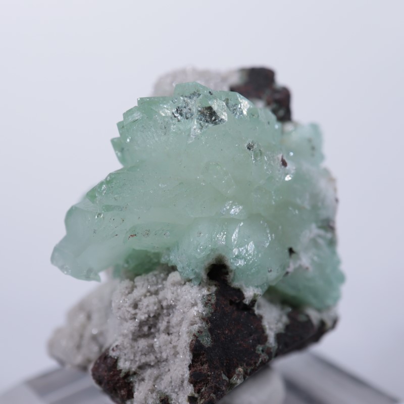 Wagholi�������ݥե��饤��