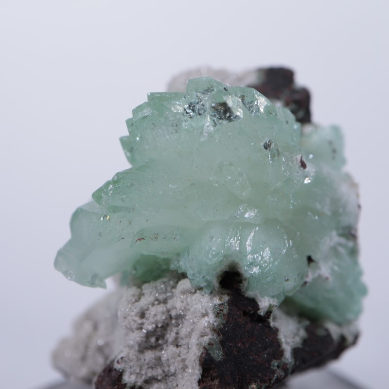 Wagholi�������ݥե��饤��