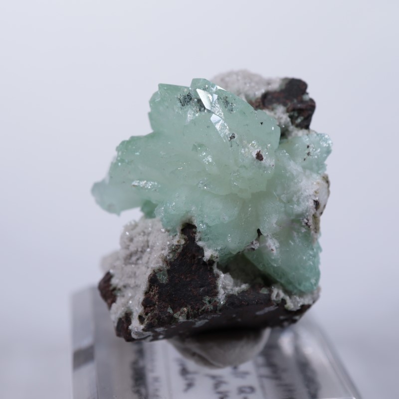 Wagholi�������ݥե��饤��